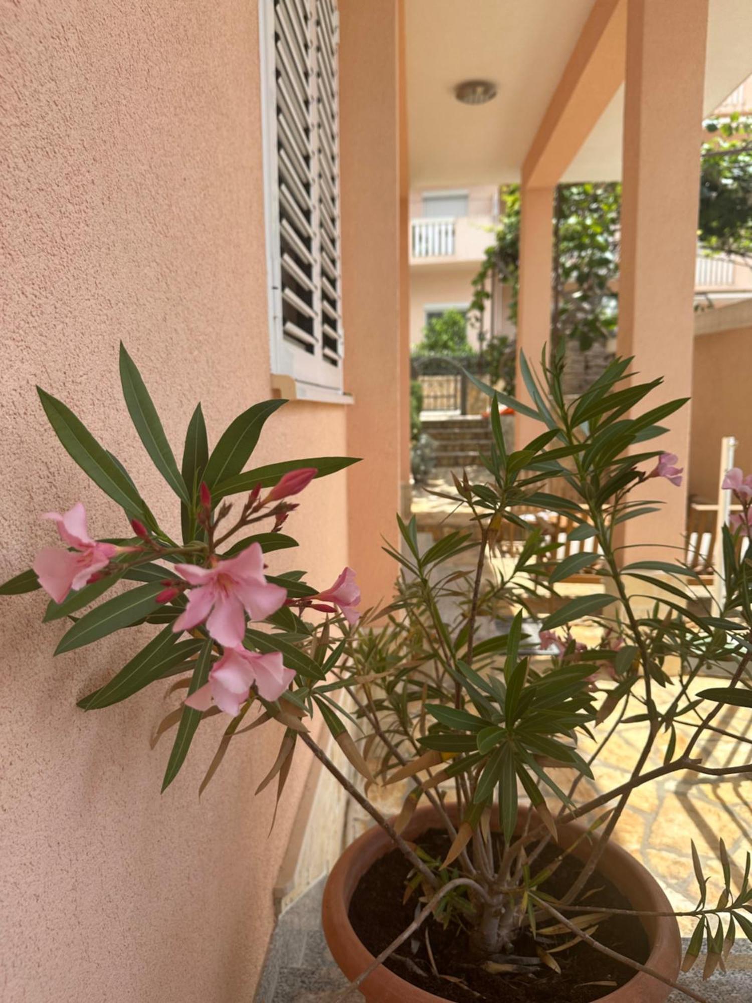 Apartments Zlatka Trogir Exterior foto